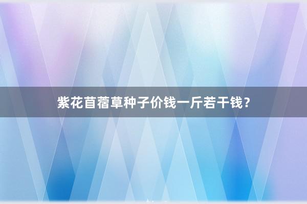 紫花苜蓿草种子价钱一斤若干钱？