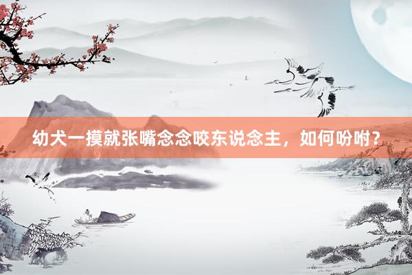 幼犬一摸就张嘴念念咬东说念主，如何吩咐？