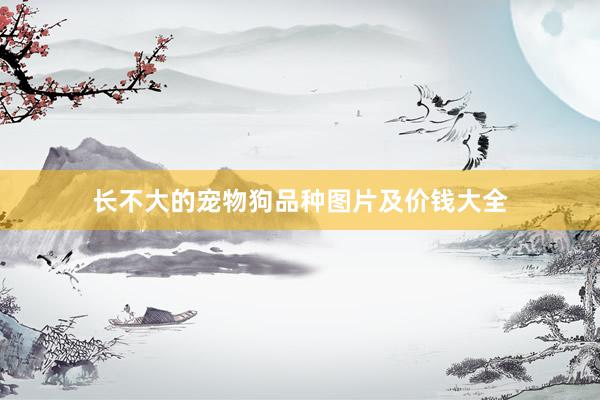 长不大的宠物狗品种图片及价钱大全