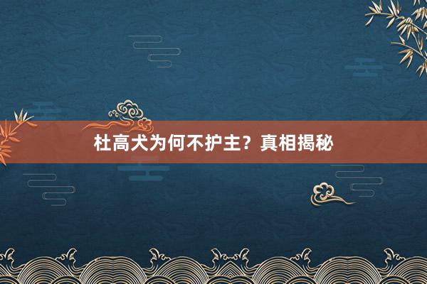 杜高犬为何不护主？真相揭秘
